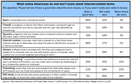 Public Awareness of Internet Terms