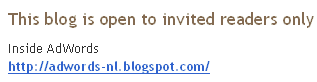 Screendump Nederlandse Inside AdWords Blog